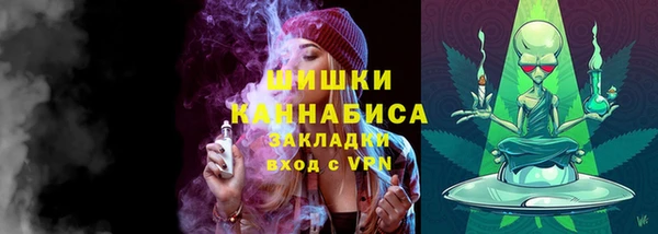PSILOCYBIN Абаза
