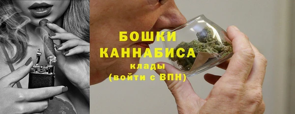 PSILOCYBIN Абаза
